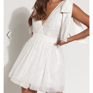 Showpo Karalyn Mini Dress